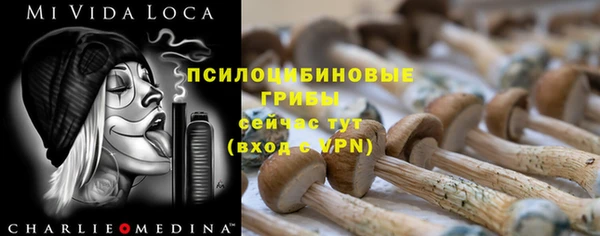 каннабис Новозыбков