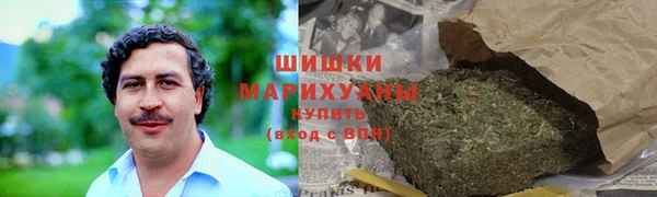 молекула духа Няндома
