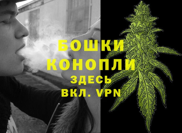 молекула духа Няндома