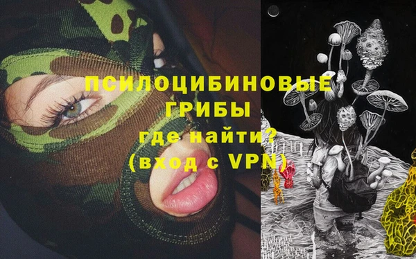 молекула духа Няндома