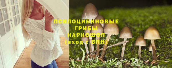 молекула духа Няндома