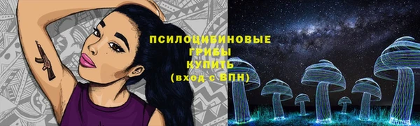 дмт Нягань