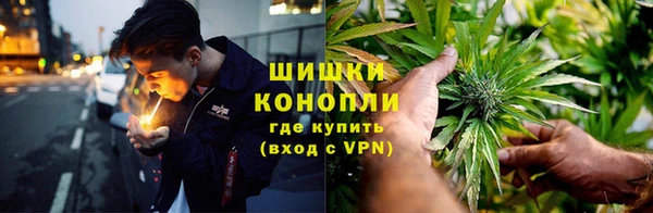 дмт Нягань