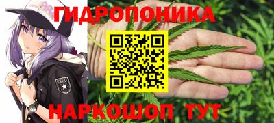 молекула духа Дубна