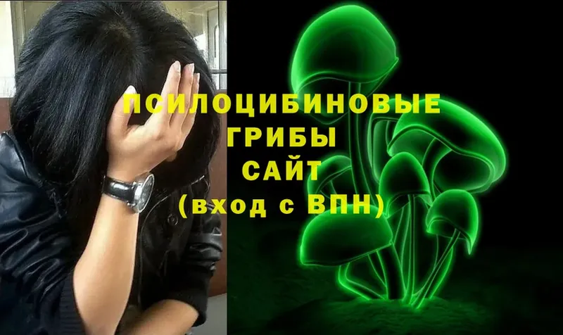 цены наркотик  OMG ссылка  Галлюциногенные грибы Psilocybine cubensis  Краснознаменск 