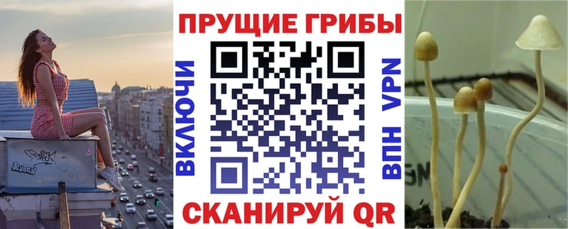 mega ONION  Краснознаменск  Галлюциногенные грибы Magic Shrooms 