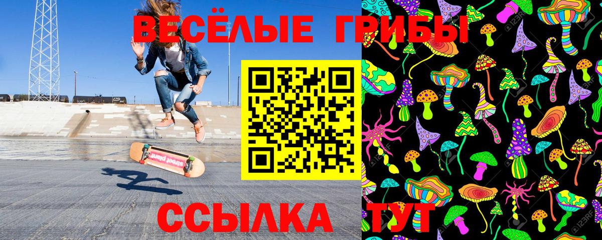 Псилоцибиновые грибы Psilocybe  Вход с VPN  Краснознаменск 