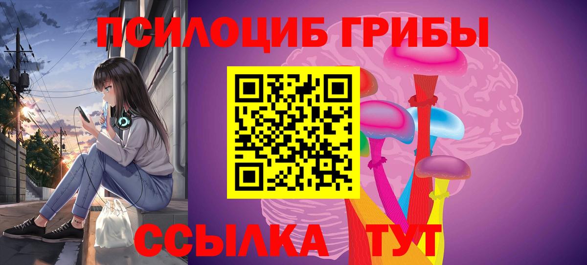 Галлюциногенные грибы прущие грибы Краснознаменск